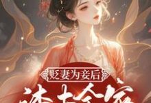 求贬妻为妾后,渣夫全家跪求我原谅小说免费资源-推书机