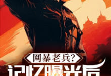 《网暴老兵?记忆曝光后全网泪崩!》完整版小说免费阅读-推书机