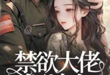 禁欲大佬摁墙角,白天撩完我就跑小说的无弹窗阅读体验,寻找免费阅读网站-推书机