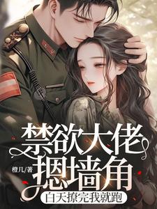 禁欲大佬摁墙角，白天撩完我就跑小说的无弹窗阅读体验，寻找免费阅读网站