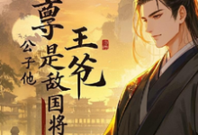 启禀王爷，公子他是敌国将军小说阅读，启禀王爷，公子他是敌国将军完结版-推书机