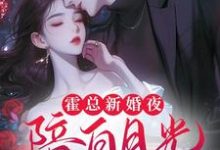 苏语倾霍裴衍小说《霍总新婚夜陪白月光,我不干了》在线阅读-推书机