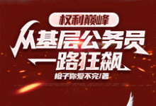 求推荐可以免费阅读权力巅峰:从基层公务员一路狂飙小说的网站-推书机