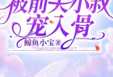 温安柠时锦潇小说离婚后，被前夫小叔宠入骨在线阅读章节-推书机