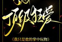 顶级狂爱:我只是他的掌中玩物最新章节,顶级狂爱:我只是他的掌中玩物免费阅读-推书机