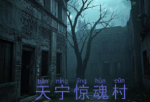 《天宁村惊魂》冰浩小说免费阅读完整版-推书机
