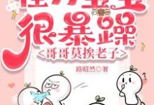 怪力宝宝很暴躁,哥哥莫挨老子完整版小说,怪力宝宝很暴躁,哥哥莫挨老子最新章节-推书机
