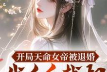 求开局天命女帝被退婚,我反手截胡小说免费资源-推书机
