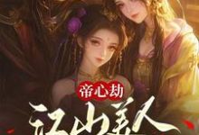 小说《帝心劫:江山美人两不负》章节免费阅读-推书机