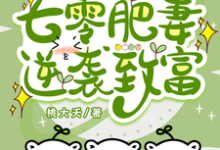 小说完整版《军婚一胎三宝?七零肥妻逆袭致富》免费阅读-推书机
