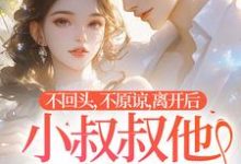 不回头,不原谅,离开后小叔叔他后悔了这本小说完结了吗?免费查看最新章节-推书机