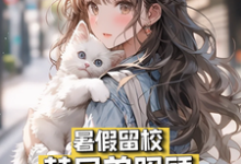 暑假留校,替兄弟照顾绝美女友这本小说怎么样?免费在线阅读试试-推书机