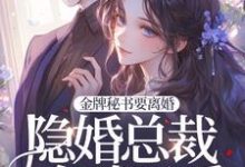 金牌秘书要离婚，隐婚总裁全球示爱！姜以初，金牌秘书要离婚，隐婚总裁全球示爱！在线无弹窗阅读-推书机
