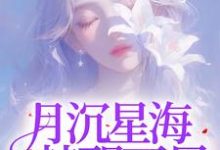 月沉星海,梦醒不见小说最新更新在哪里?免费在线看-推书机