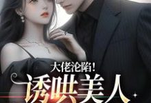 大佬沦陷！诱哄美人回家放肆宠田馨霍霆小说在线章节目录阅读最新章节-推书机