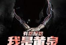 有怨报怨，我是黄泉摆渡人云渺小说在线章节目录阅读最新章节-推书机