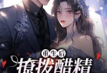 哪里能找到重生后，撩拨醋精小男友小说的最新更新和免费章节？-推书机