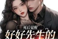 连荷居延完整版《好好先生的真实面目》小说免费阅读-推书机
