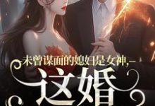 未曾谋面的媳妇是女神，这婚不离了（顾衍掣盛知夏）完整版在线免费阅读-推书机