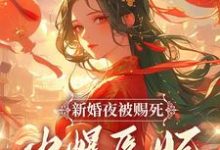 完结版《新婚夜被赐死？火爆医妃她有喜了！》章节阅读-推书机