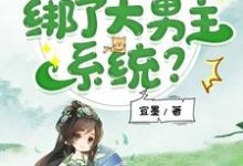 我，修仙虐文女主，绑了大男主系统？小说阅读，我，修仙虐文女主，绑了大男主系统？完结版-推书机