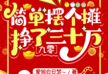 简单摆个摊,挣了三十万【九零】小说阅读,简单摆个摊,挣了三十万【九零】完结版-推书机