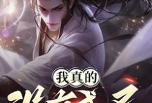 已完结小说《我真的没有成圣》章节在线阅读-推书机