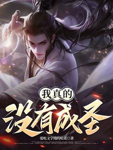 已完结小说《我真的没有成圣》章节在线阅读