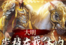 大明:崇祯在我体内,中兴大明小说阅读,大明:崇祯在我体内,中兴大明完结版-推书机