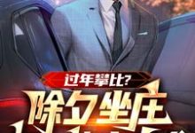 完整版小说《过年攀比?除夕坐庄初一连夜离乡》免费阅读-推书机