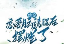 完整版的快穿恋爱脑清醒后摆烂了小说在哪里可以免费读到?-推书机
