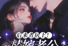 后来者居上!替嫁老公他又争又抢免费阅读,后来者居上!替嫁老公他又争又抢章节目录-推书机