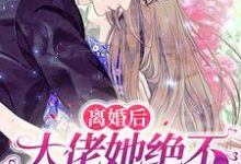 沈音音霍衍之小说离婚后,大佬她绝不破镜重圆完整版阅读-推书机