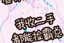 《渣男给爷爬,我收二手都能捡霸总》于尔韩沐之小说免费阅读完整版-推书机
