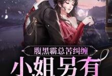 腹黑霸总苦纠缠，小姐另有心上人章节免费在线阅读，陆慎司沈漾完结版-推书机