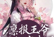 小说完整版《禀报王爷，王妃有喜了！》免费阅读-推书机