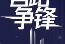 官路争锋小说阅读，官路争锋完结版-推书机