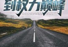 完整版《官途:从基层科长到权力巅峰》小说免费阅读-推书机
