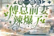 小说《第一婚色：傅总前妻辣爆了》章节免费阅读-推书机