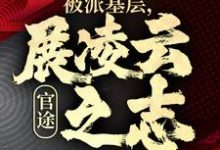 楚昊宇文心怡小说完整版《官途:被派基层,展凌云之志》免费阅读-推书机