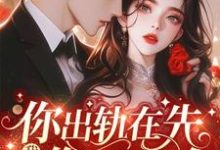 哪里可以免费找到你出轨在先,我离婚你哭什么?-推书机