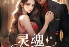 《灵魂挚友》完整版小说免费阅读-推书机