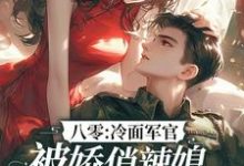 完整版《八零：冷面军官被娇俏辣媳狠狠拿捏》小说免费阅读-推书机