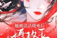 免费在线阅读她被活活烧死后，摄政王悔不当初小说的正规网站有哪些？-推书机