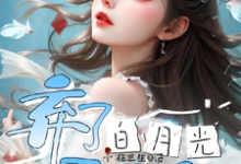 弃了白月光男主后小说全文阅读需要付费吗?寻找免费资源-推书机