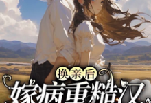 换亲后,嫁病重糙汉床越换越宽徐青灵林景川在线章节免费阅读-推书机