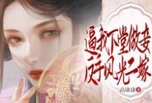 逼我下堂做妾?反手风光二嫁!小说无弹窗阅读的网站推荐-推书机