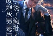 苏岭裴宥小说穿成炮灰男妻后，引诱了疯批大佬完整版阅读-推书机