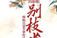 《综影视：别枝雀》佟怀玉小说免费阅读完整版-推书机