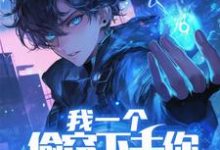 完结版《我一个偷窃下去,你可能会走光!》章节阅读-推书机